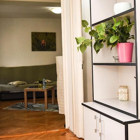 Apartment Kiwi Новий Сад Екстер'єр фото